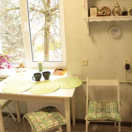 Hudozhnyk House